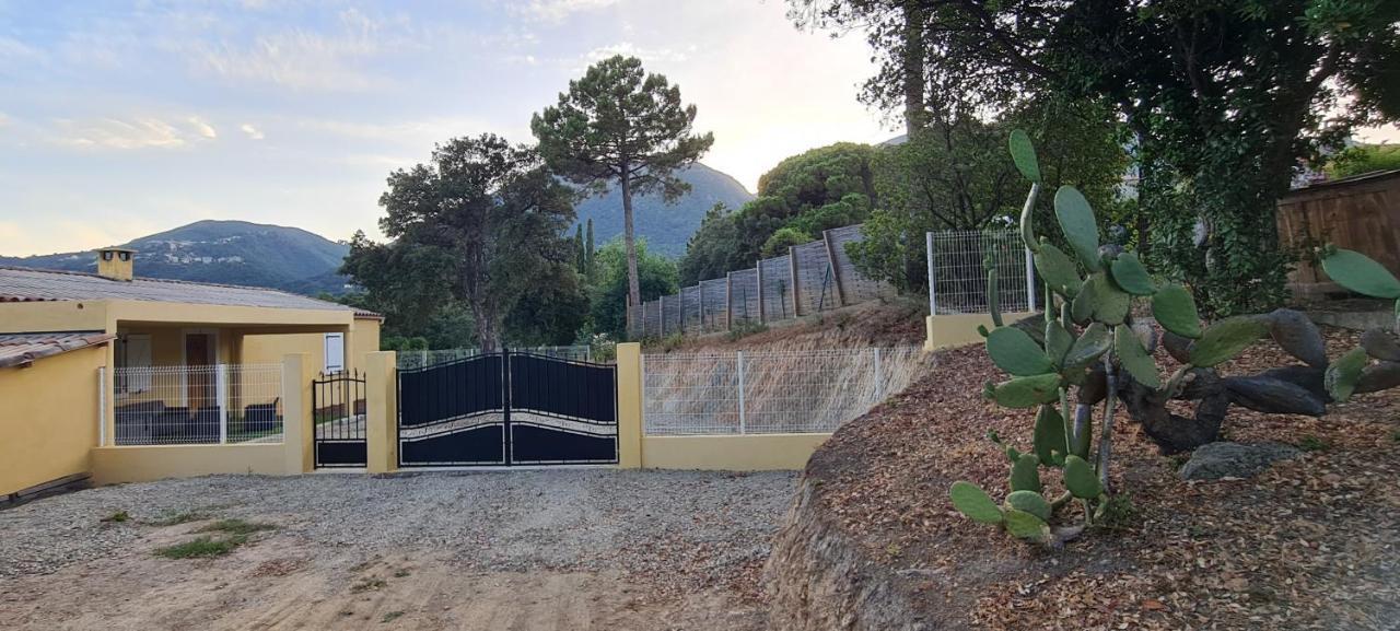 Agreable Rez De Jardin Avec Piscine Et Jacuzzi Apartamento Cervione Exterior foto